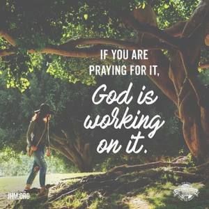 Meet your Posher, Janeth